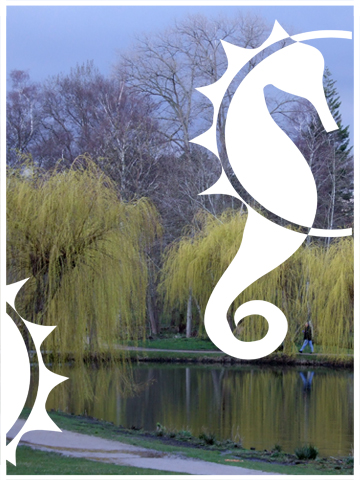 Alter Kurpark im Winter